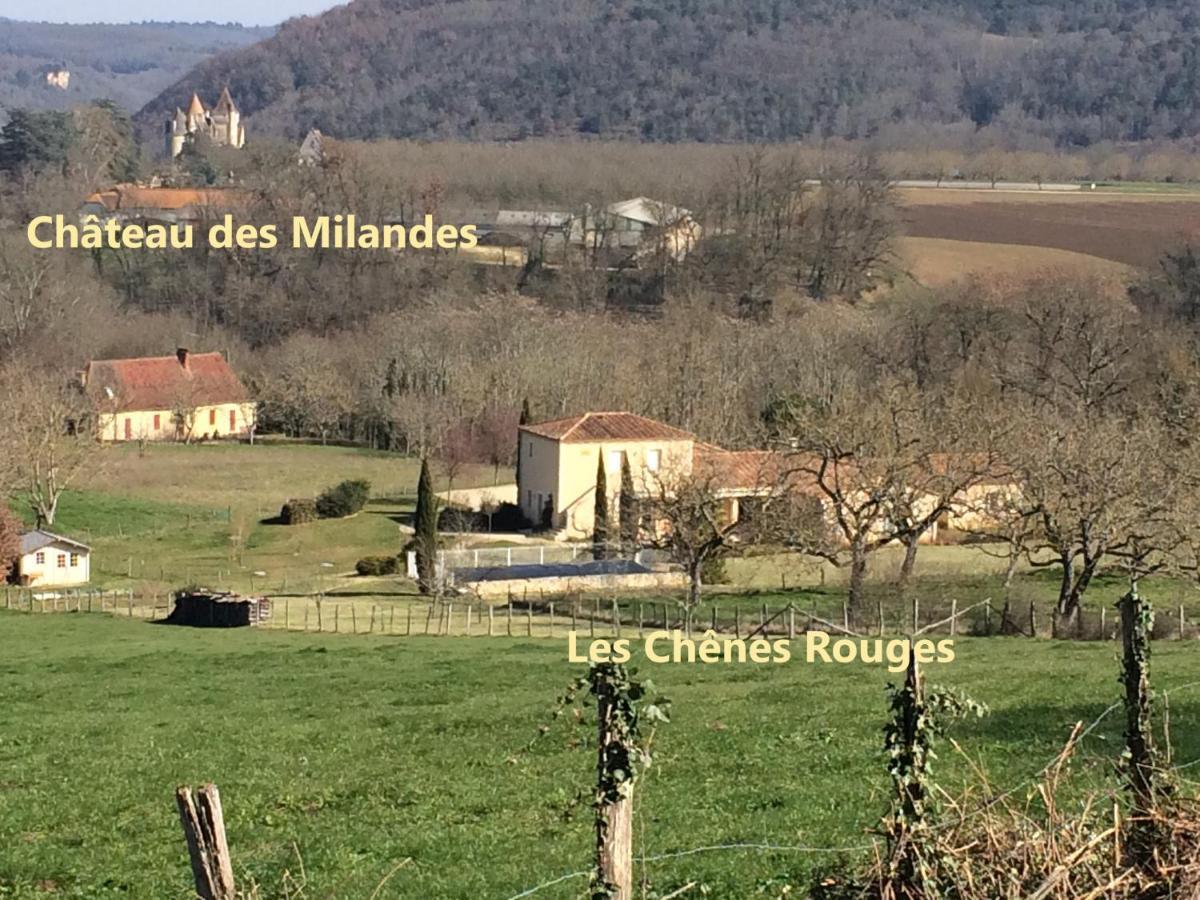 Les Chenes Rouges Bed & Breakfast Veyrines-de-Domme Bagian luar foto